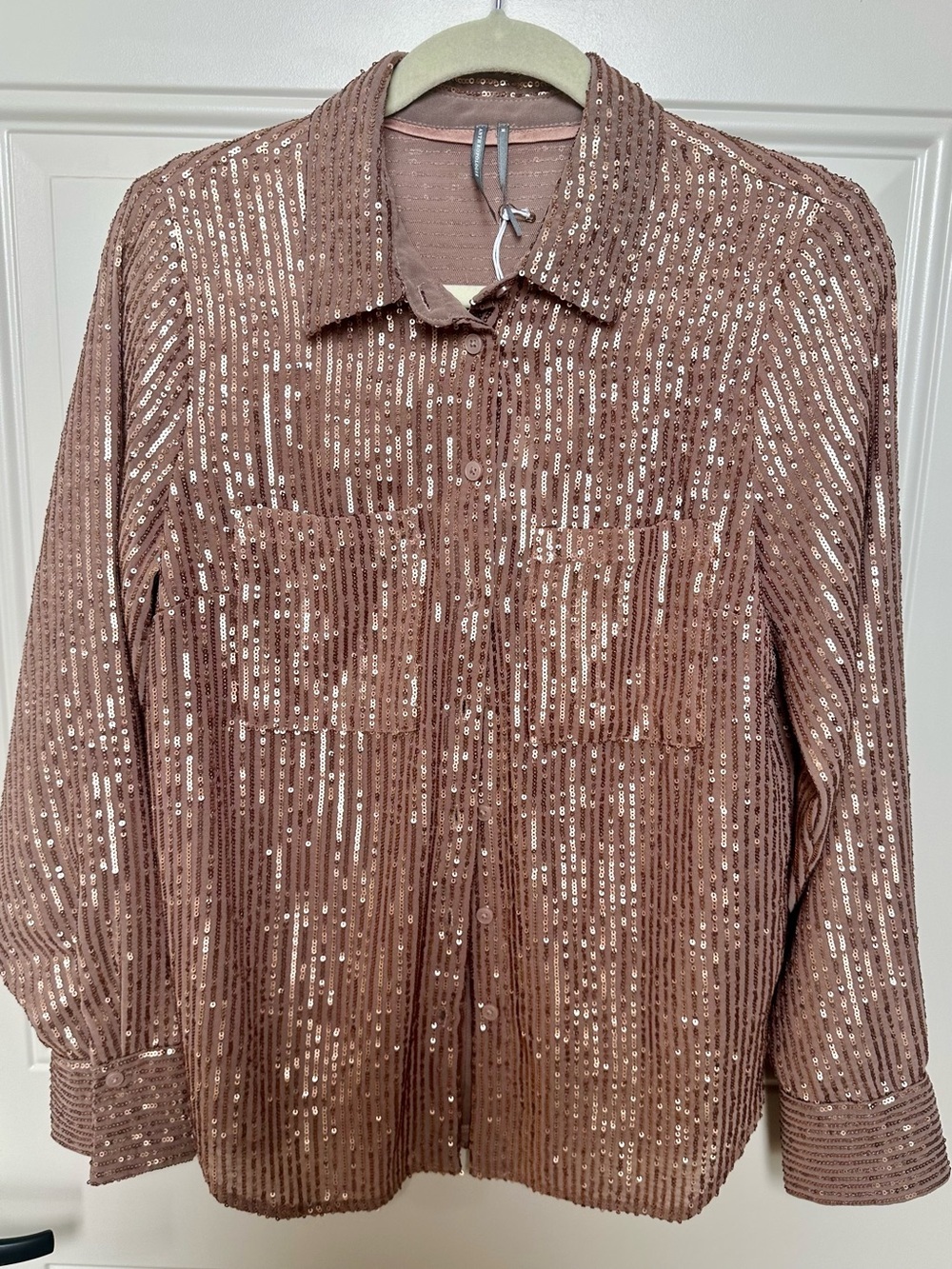 Anthropologie Rose Taupe Sequined Button-Front Blouse